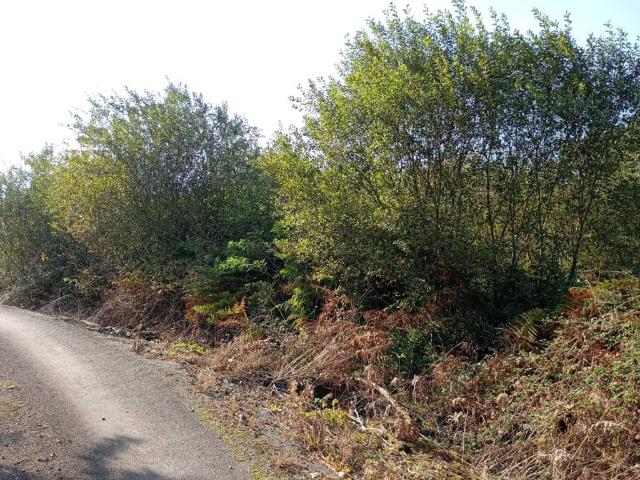 Terreno en venta en Alfoz De Lloredo, Cantabria