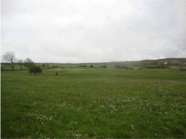 Terreno en venta en Alfoz De Santa Gadea, Castilla y León