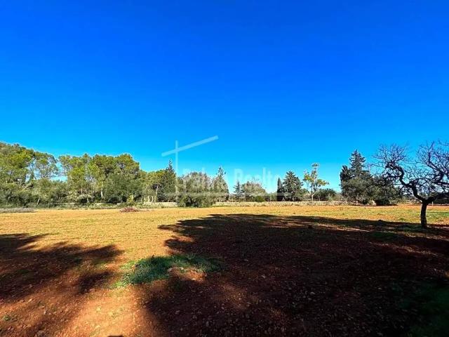 Terreno en venta en Pla de Mallorca, Baleares