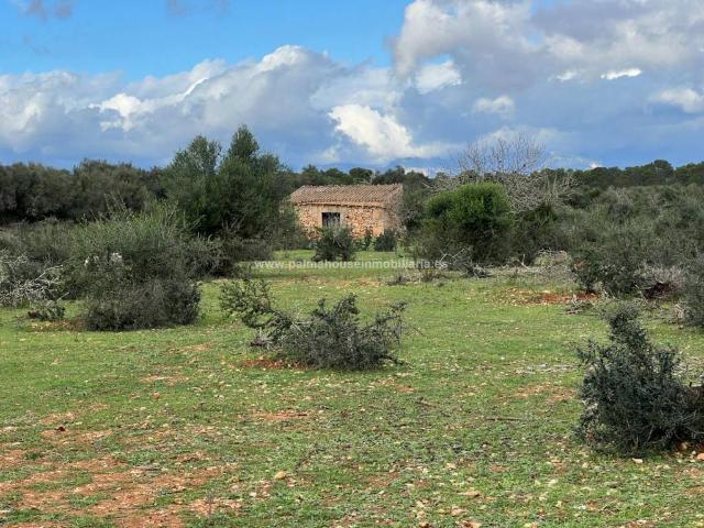 Terreno en venta en Algaida