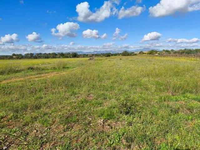 Terreno en venta en Pina, Pla de Mallorca