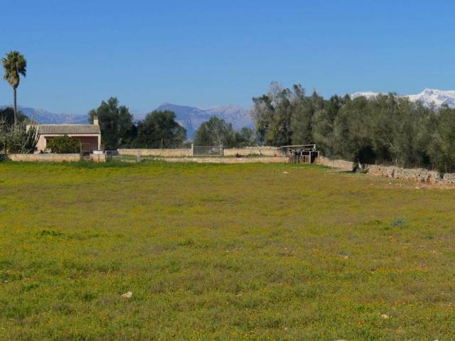 Terreno en venta en Algaida