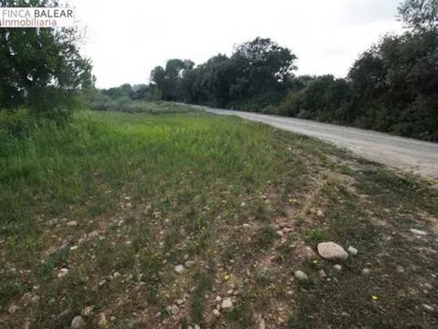 Terreno en venta en Pla de Mallorca, Baleares