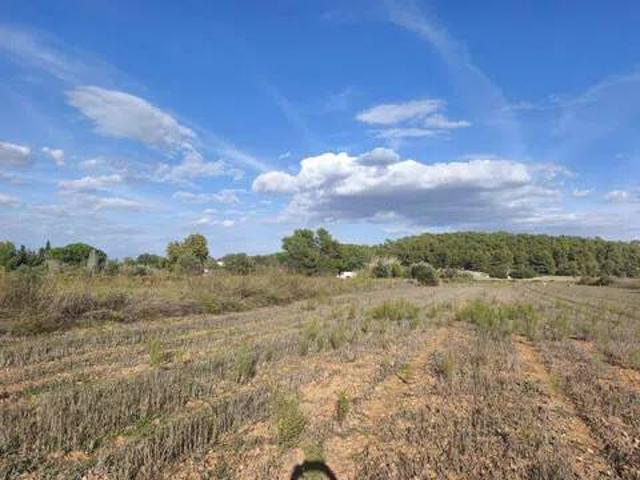 Terreno en venta en Algaida, Illes Balears