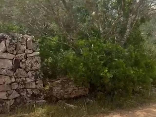 Terreno en venta en Algaida