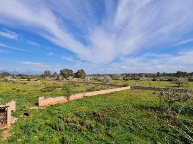Terreno en venta en Pla de Mallorca, Baleares