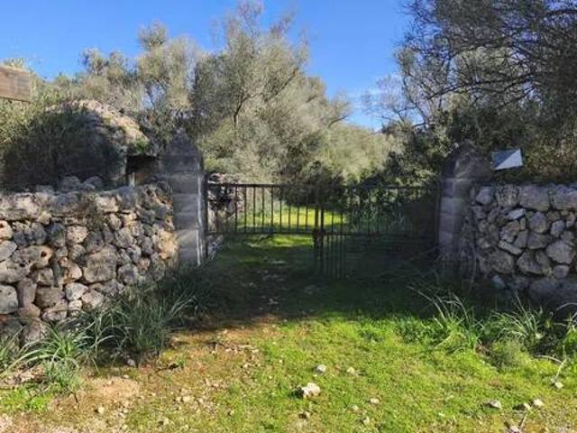 Terreno en venta en Pla de Mallorca, Baleares