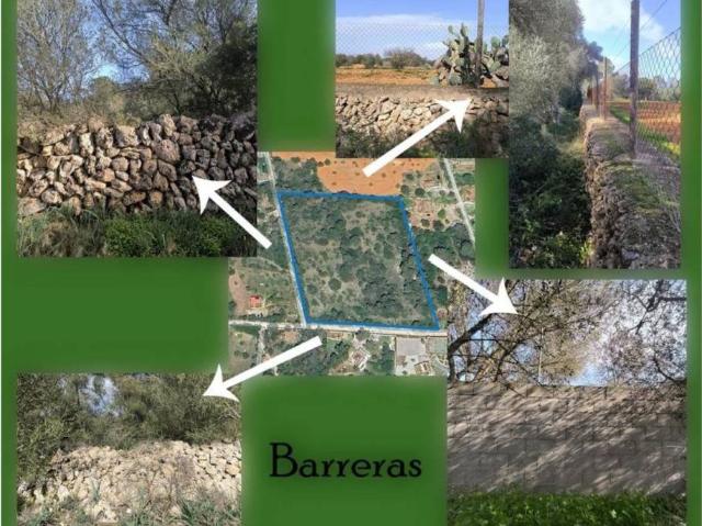Terreno en venta en Pla de Mallorca, Baleares