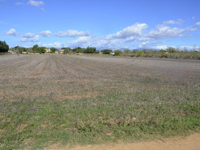 Terreno en venta en Algaida