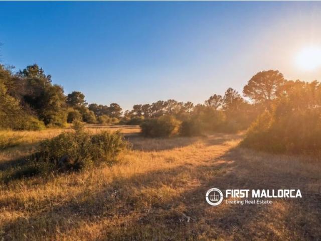 Terreno en venta en Algaida, Illes Balears