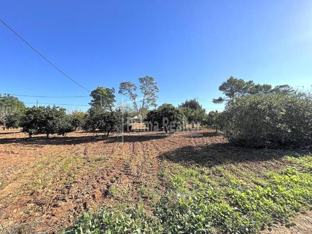 Terreno en venta en Algaida
