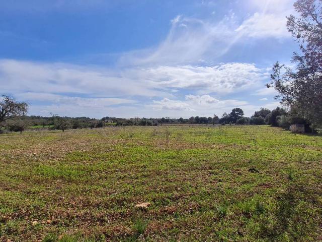 Terreno en venta en Algaida