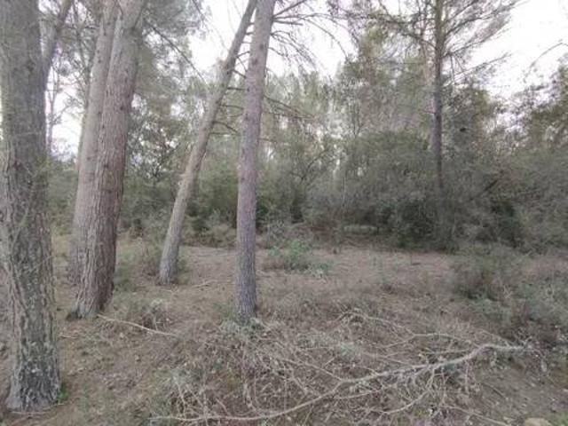 Terreno en venta en Pla de Mallorca, Baleares