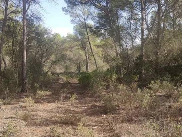 Terreno en venta en Pla de Mallorca, Baleares