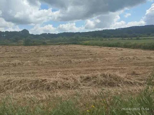 Terreno en venta en Pla de Mallorca, Baleares