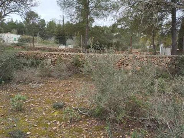 Terreno en venta en Pla de Mallorca, Baleares