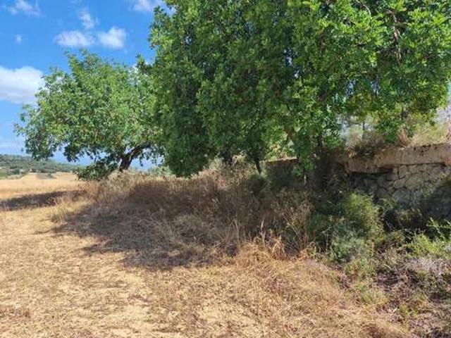 Terreno en venta en Pla de Mallorca, Baleares