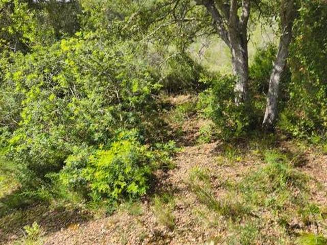 Terreno en venta en Pla de Mallorca, Baleares