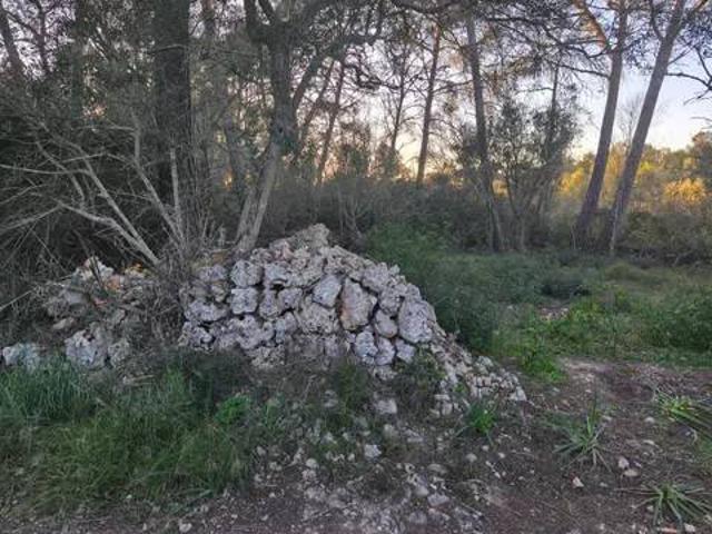 Terreno en venta en Pla de Mallorca, Baleares