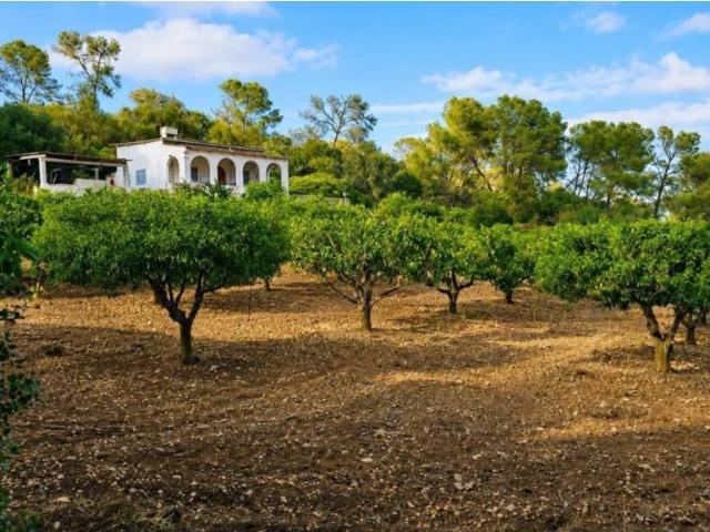 Terreno en venta en Pla de Mallorca, Baleares