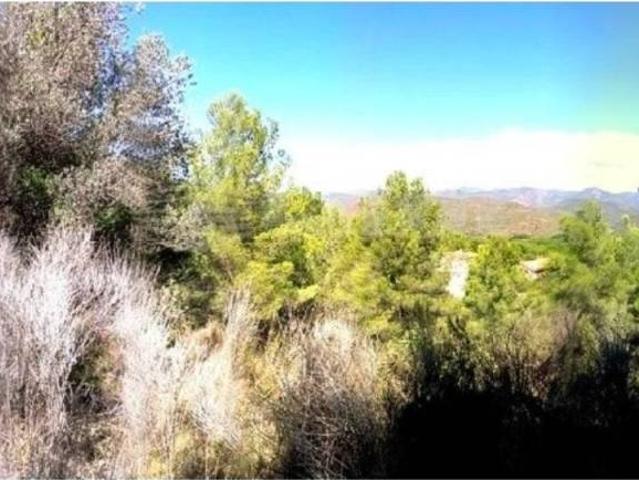 Terreno en venta en el Camp de Morvedre, Valencia