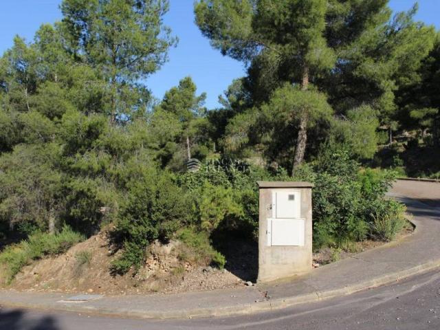 Terreno en venta en el Camp de Morvedre, Valencia