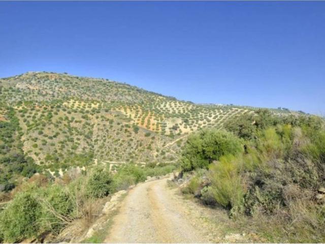Terreno en venta en Comarca de Loja, Andalucía