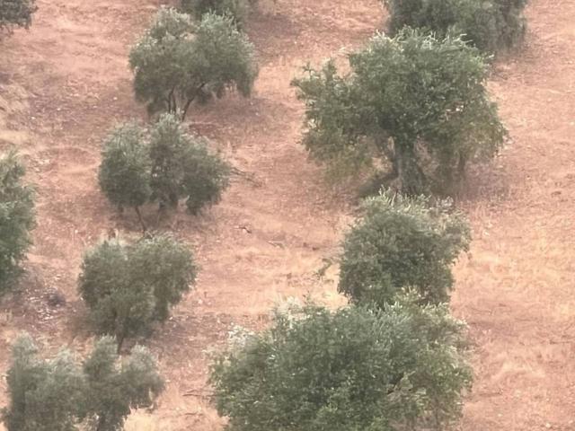 Terreno en venta en Comarca de Loja, Andalucía