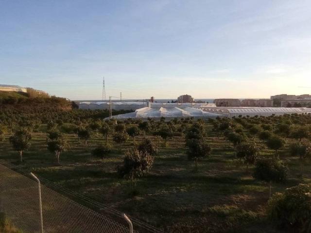 Terreno en venta en Algarrobo-Costa, La Axarquía