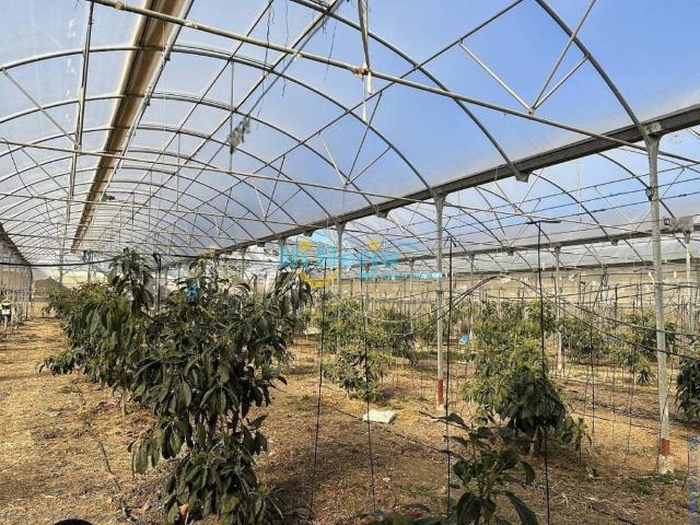 Terreno en venta en La Axarquía, Andalucía