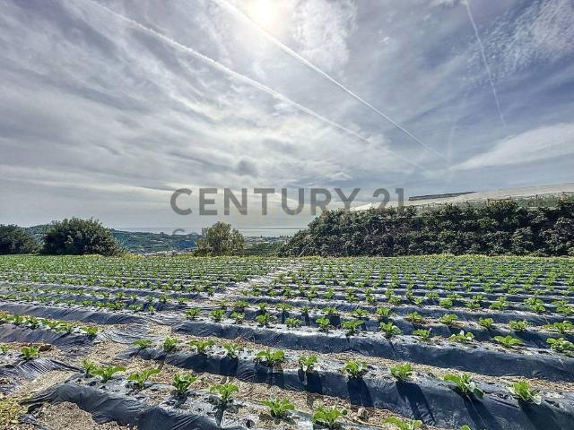 Terreno en venta en La Axarquía, Andalucía