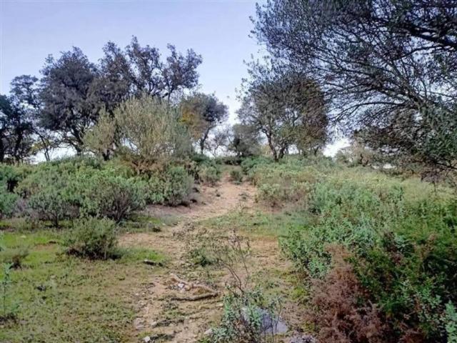 Terreno en venta en Serranía de Ronda, Andalucía