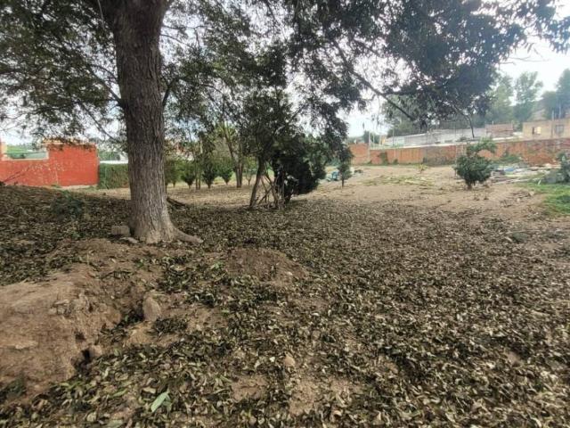 Terreno en venta en Campo de Gibraltar, Andalucía
