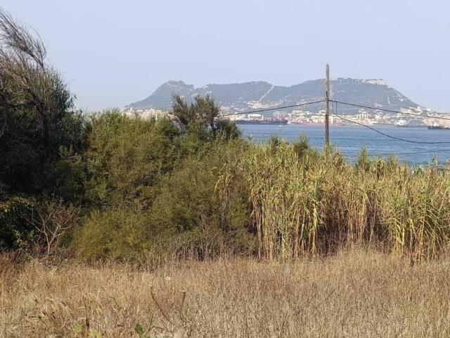 Terreno en venta en Campo de Gibraltar, Andalucía