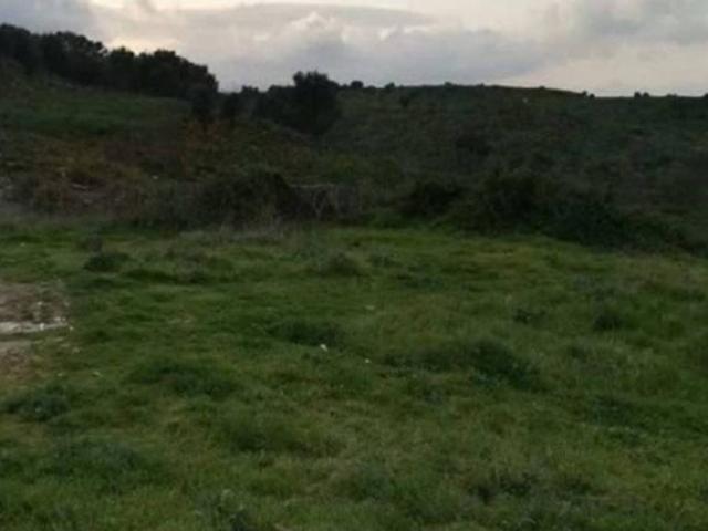 Terreno en venta en La Granja, Campo de Gibraltar