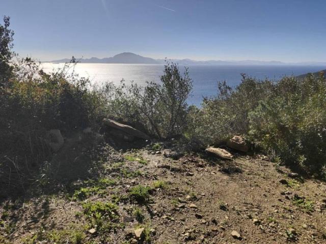 Terreno en venta en Campo de Gibraltar, Andalucía