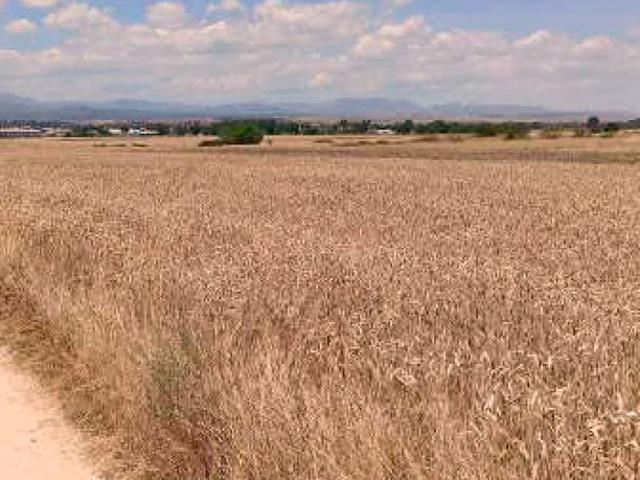Terreno en venta en Algete, Madrid