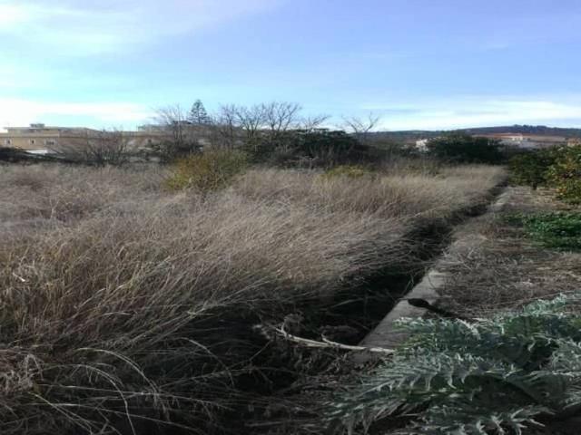 Terreno en venta en el Camp de Morvedre, Valencia