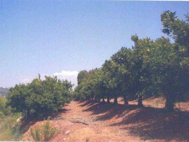 Terreno en venta en el Camp de Morvedre, Valencia