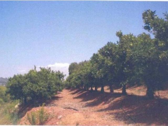 Terreno en venta en el Camp de Morvedre, Valencia