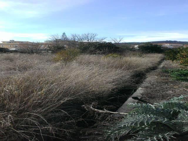 Terreno en venta en el Camp de Morvedre, Valencia