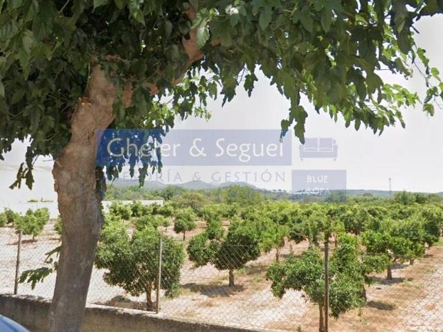 Terreno en venta en el Camp de Morvedre, Valencia