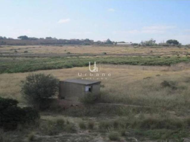 Terreno en venta en la Ribera Alta, Valencia