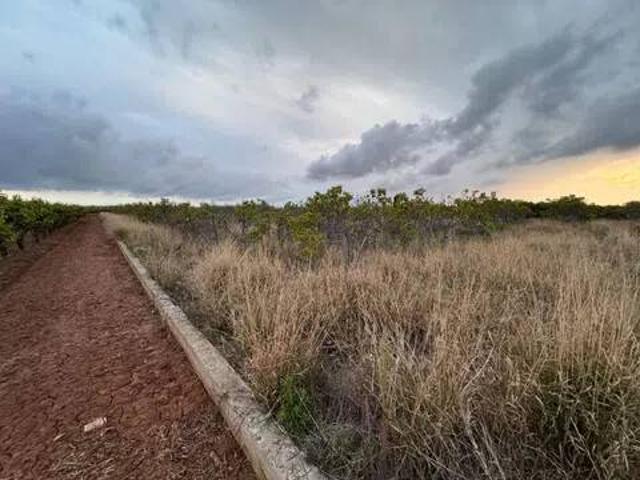 Terreno en venta en la Ribera Alta, Valencia