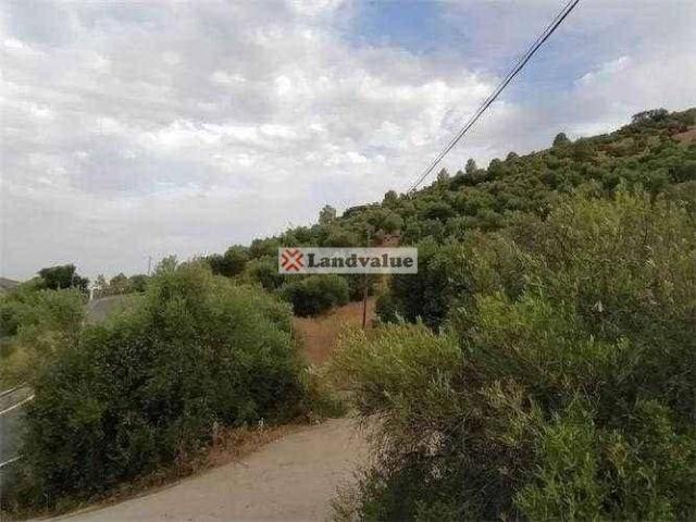 Terreno en venta en Sierra de Cádiz, Andalucía
