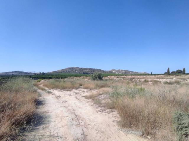 Terreno en venta en Algorfa