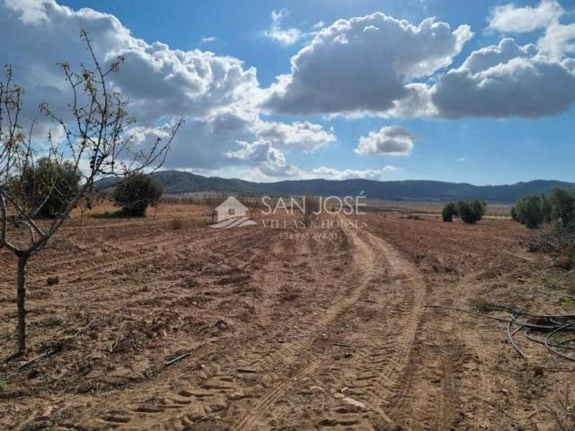 Terreno en venta en el Vinalopó Mitjà / El Vinalopó Medio, Valencia