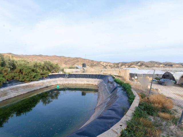 Terreno en venta en Alhabia, Andalucía