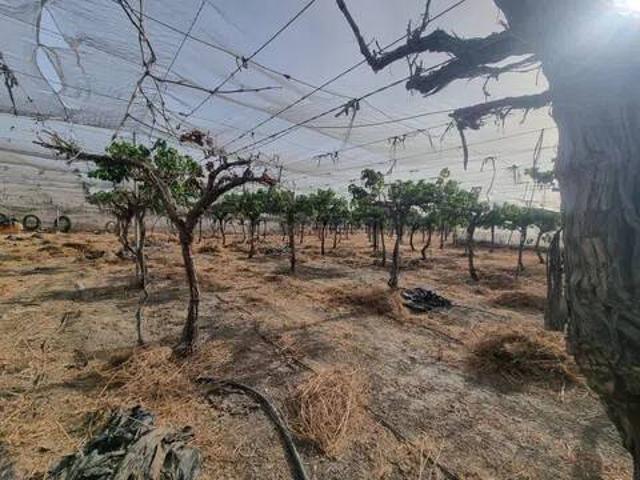 Terreno en venta en Alhabia, Andalucía