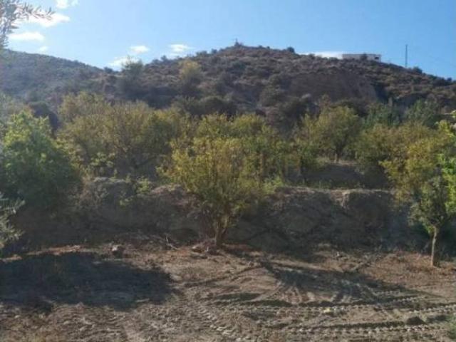 Terreno en venta en Alhabia, Andalucía
